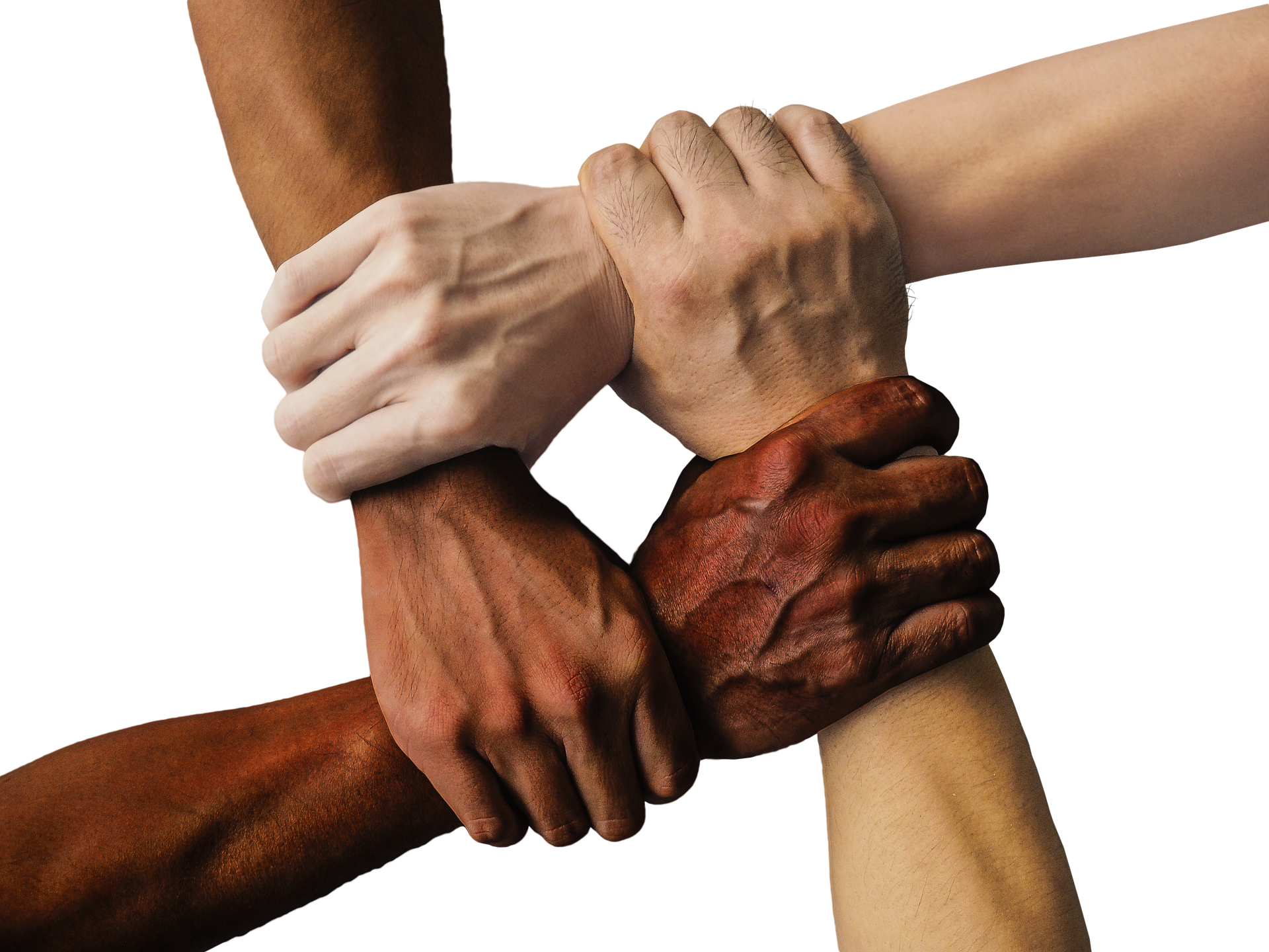 Government Collaboration